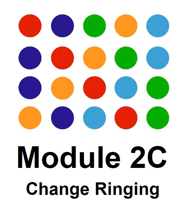 Module 2C logo